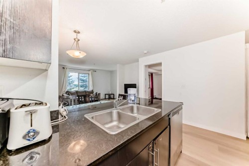 211-355 Taralake Way Ne, Calgary, AB - Indoor Photo Showing Kitchen With Double Sink