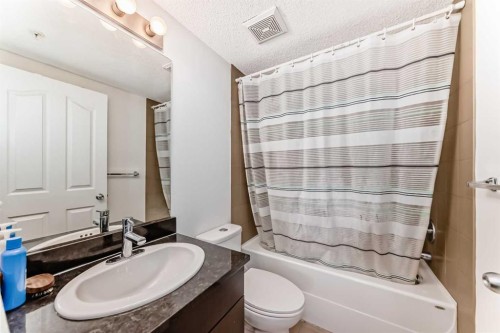 211-355 Taralake Way Ne, Calgary, AB - Indoor Photo Showing Bathroom