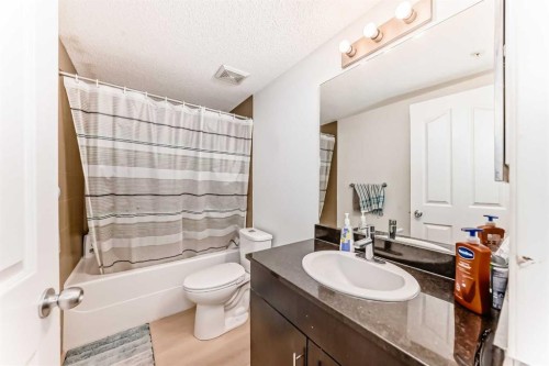 211-355 Taralake Way Ne, Calgary, AB - Indoor Photo Showing Bathroom