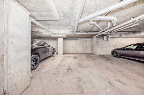 211-355 Taralake Way Ne, Calgary, AB - Indoor Photo Showing Garage