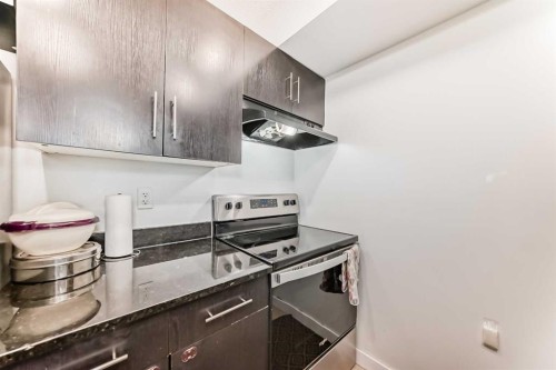 211-355 Taralake Way Ne, Calgary, AB - Indoor Photo Showing Kitchen
