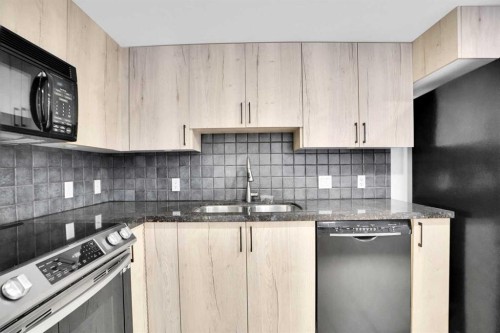 705-1088 6 Avenue Sw, Calgary, AB - Indoor Photo Showing Kitchen With Double Sink