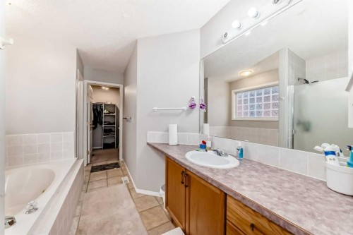 270 Covewood Circle Ne, Calgary, AB - Indoor Photo Showing Bathroom