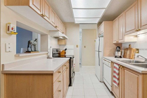 1107-201 Brae Glen Sw, Calgary, AB - Indoor Photo Showing Kitchen With Double Sink