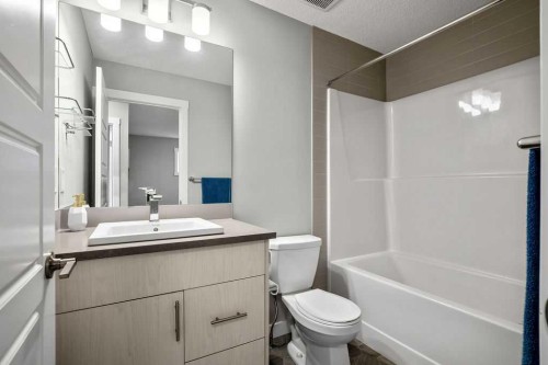 131 Seton Heath Se, Calgary, AB - Indoor Photo Showing Bathroom