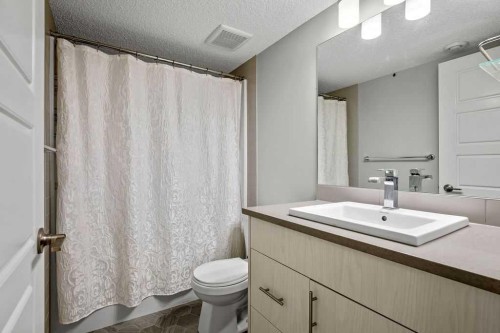 131 Seton Heath Se, Calgary, AB - Indoor Photo Showing Bathroom