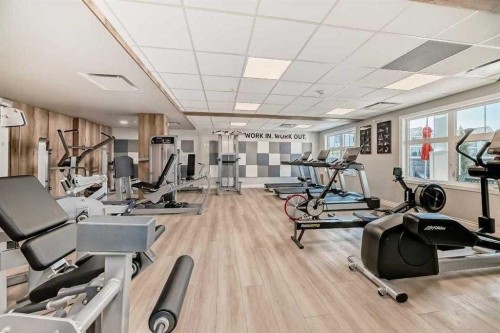 69 Les Jardins Park Se, Calgary, AB - Indoor Photo Showing Gym Room