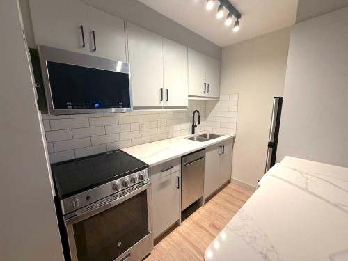 1821 17 Street Sw, Calgary, AB - Indoor Photo Showing Kitchen With Double Sink