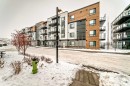2401-42 Cranbrook Gardens Se, Calgary, AB  - Outdoor With Balcony With Facade 
