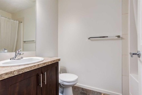 215 Copperpond Common Se, Calgary, AB - Indoor Photo Showing Bathroom