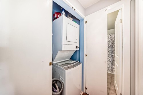 202-540 18 Avenue Sw, Calgary, AB - Indoor Photo Showing Laundry Room