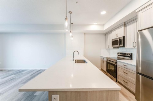 1410-33 Carringham Gate Nw, Calgary, AB - Indoor Photo Showing Kitchen With Stainless Steel Kitchen With Double Sink With Upgraded Kitchen