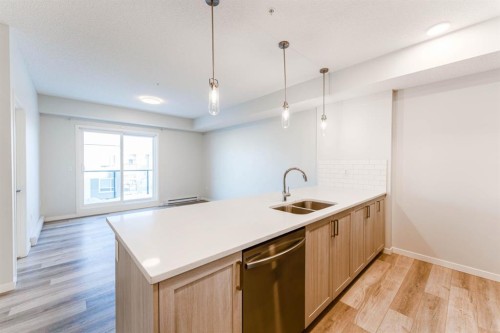1410-33 Carringham Gate Nw, Calgary, AB - Indoor Photo Showing Kitchen With Double Sink