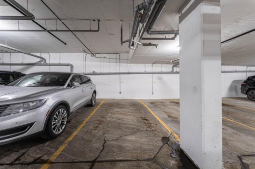 1410-33 Carringham Gate Nw, Calgary, AB - Indoor Photo Showing Garage