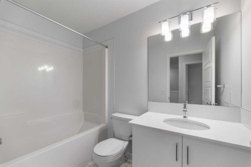 137-137 Red Embers Link Ne, Calgary, AB - Indoor Photo Showing Bathroom