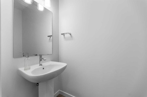 137-137 Red Embers Link Ne, Calgary, AB - Indoor Photo Showing Bathroom