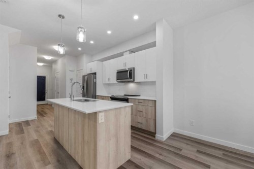 137-137 Red Embers Link Ne, Calgary, AB - Indoor Photo Showing Kitchen With Upgraded Kitchen