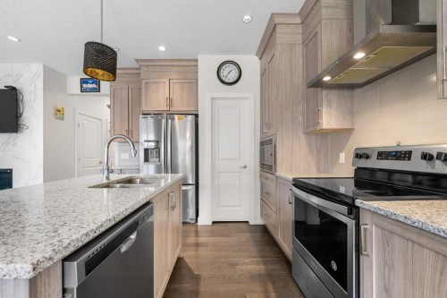 235 Saddlestone Grove Ne, Calgary, AB - Indoor Photo Showing Kitchen With Stainless Steel Kitchen With Double Sink With Upgraded Kitchen
