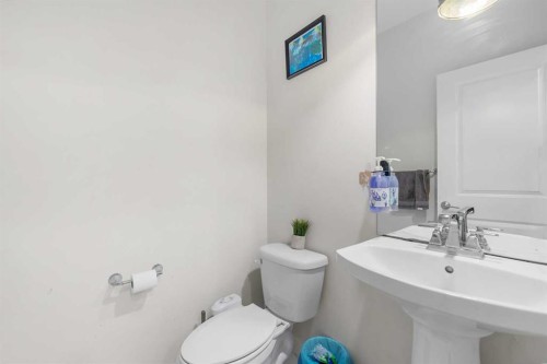 235 Saddlestone Grove Ne, Calgary, AB - Indoor Photo Showing Bathroom