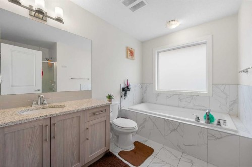 235 Saddlestone Grove Ne, Calgary, AB - Indoor Photo Showing Bathroom