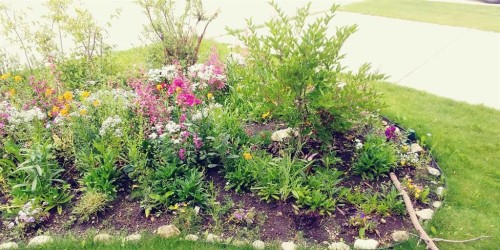 9473 Hidden Valley Drive Nw, Calgary, AB - Outdoor