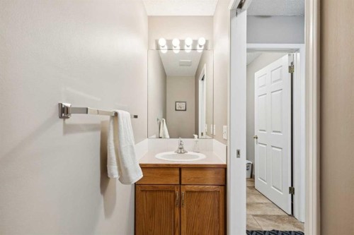 33 River Rock Crescent Se, Calgary, AB - Indoor Photo Showing Bathroom