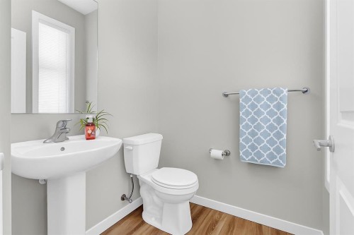 4135 Seton Drive Se, Calgary, AB - Indoor Photo Showing Bathroom