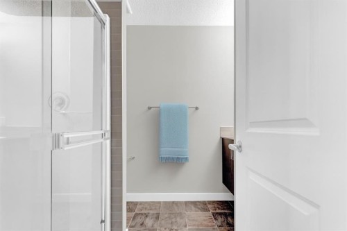 4135 Seton Drive Se, Calgary, AB - Indoor Photo Showing Bathroom
