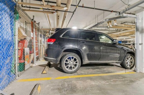 115-10 Mahogany Mews Se, Calgary, AB - Indoor Photo Showing Garage