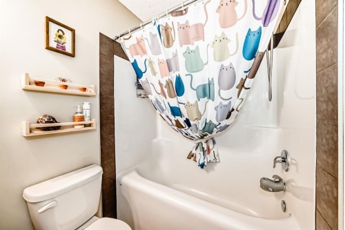 637-101 Sunset Drive, Cochrane, AB - Indoor Photo Showing Bathroom