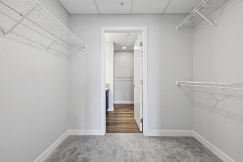 303-255 Les Jardins Park Se, Calgary, AB - Indoor With Storage