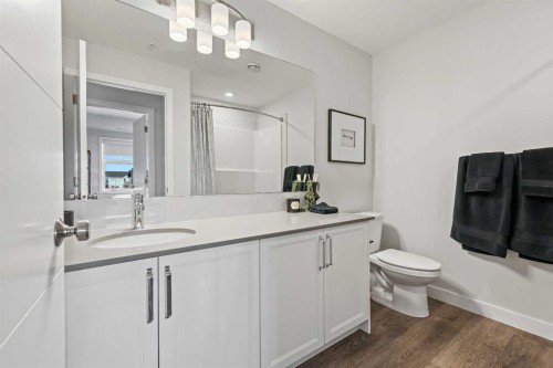 305-255 Les Jardins Park Se, Calgary, AB - Indoor Photo Showing Bathroom