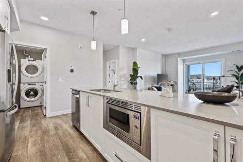 305-255 Les Jardins Park Se, Calgary, AB - Indoor Photo Showing Kitchen With Double Sink