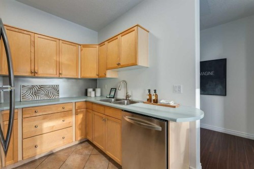 1106-1514 11 Street Sw, Calgary, AB - Indoor Photo Showing Kitchen With Double Sink