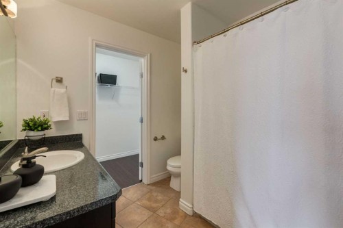 1106-1514 11 Street Sw, Calgary, AB - Indoor Photo Showing Bathroom