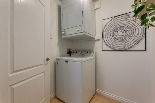 1106-1514 11 Street Sw, Calgary, AB - Indoor Photo Showing Laundry Room