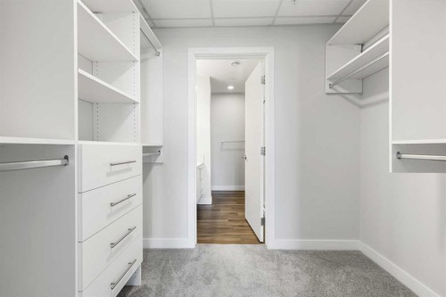 317-255 Les Jardins Park Se, Calgary, AB - Indoor With Storage