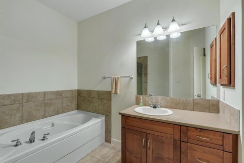 202-10 Discovery Ridge Close Sw, Calgary, AB - Indoor Photo Showing Bathroom
