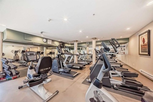 202-10 Discovery Ridge Close Sw, Calgary, AB - Indoor Photo Showing Gym Room