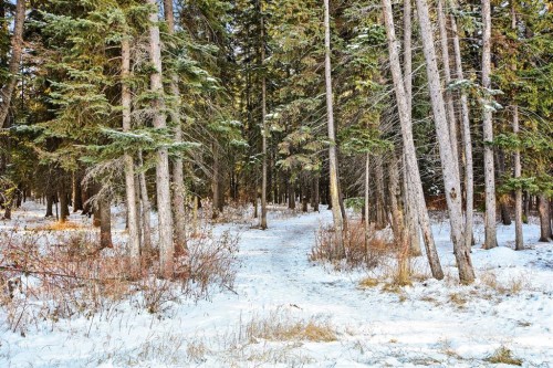 202-10 Discovery Ridge Close Sw, Calgary, AB - Outdoor