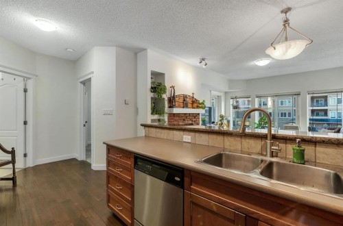 202-10 Discovery Ridge Close Sw, Calgary, AB - Indoor Photo Showing Kitchen With Double Sink