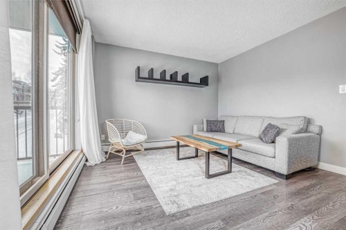 302-1727 10A Street Sw, Calgary, AB - Indoor Photo Showing Living Room