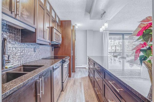 302-1727 10A Street Sw, Calgary, AB - Indoor Photo Showing Kitchen With Double Sink With Upgraded Kitchen