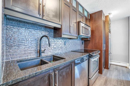 302-1727 10A Street Sw, Calgary, AB - Indoor Photo Showing Kitchen With Double Sink With Upgraded Kitchen