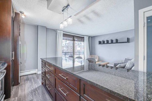 302-1727 10A Street Sw, Calgary, AB - Indoor Photo Showing Kitchen