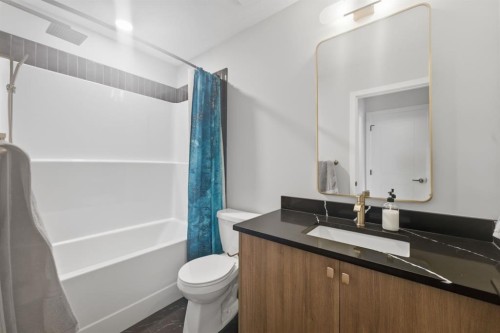 208-562 Seton Circle Se, Calgary, AB - Indoor Photo Showing Bathroom