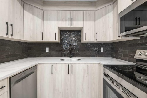 5-5520 1 Avenue Se, Calgary, AB - Indoor Photo Showing Kitchen With Upgraded Kitchen