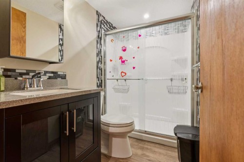 10 Speargrass Boulevard, Carseland, AB - Indoor Photo Showing Bathroom