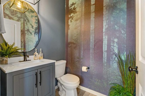 136 Dawson Drive, Chestermere, AB - Indoor Photo Showing Bathroom