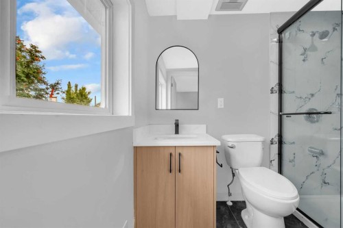 219 Falwood Way Ne, Calgary, AB - Indoor Photo Showing Bathroom